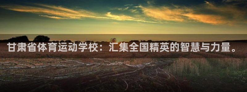 一竞技官网下载招商电话地址是多少:甘肃省体育运动学校:汇集全