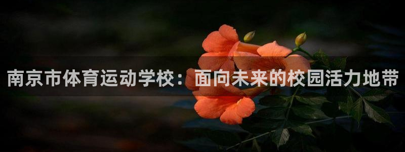 一竞技官方正版app集团E.ON:南京市体育运动学校:面向未